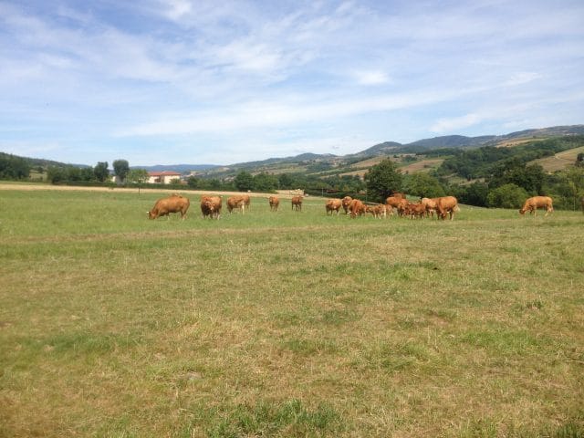 La ferme du chapi
