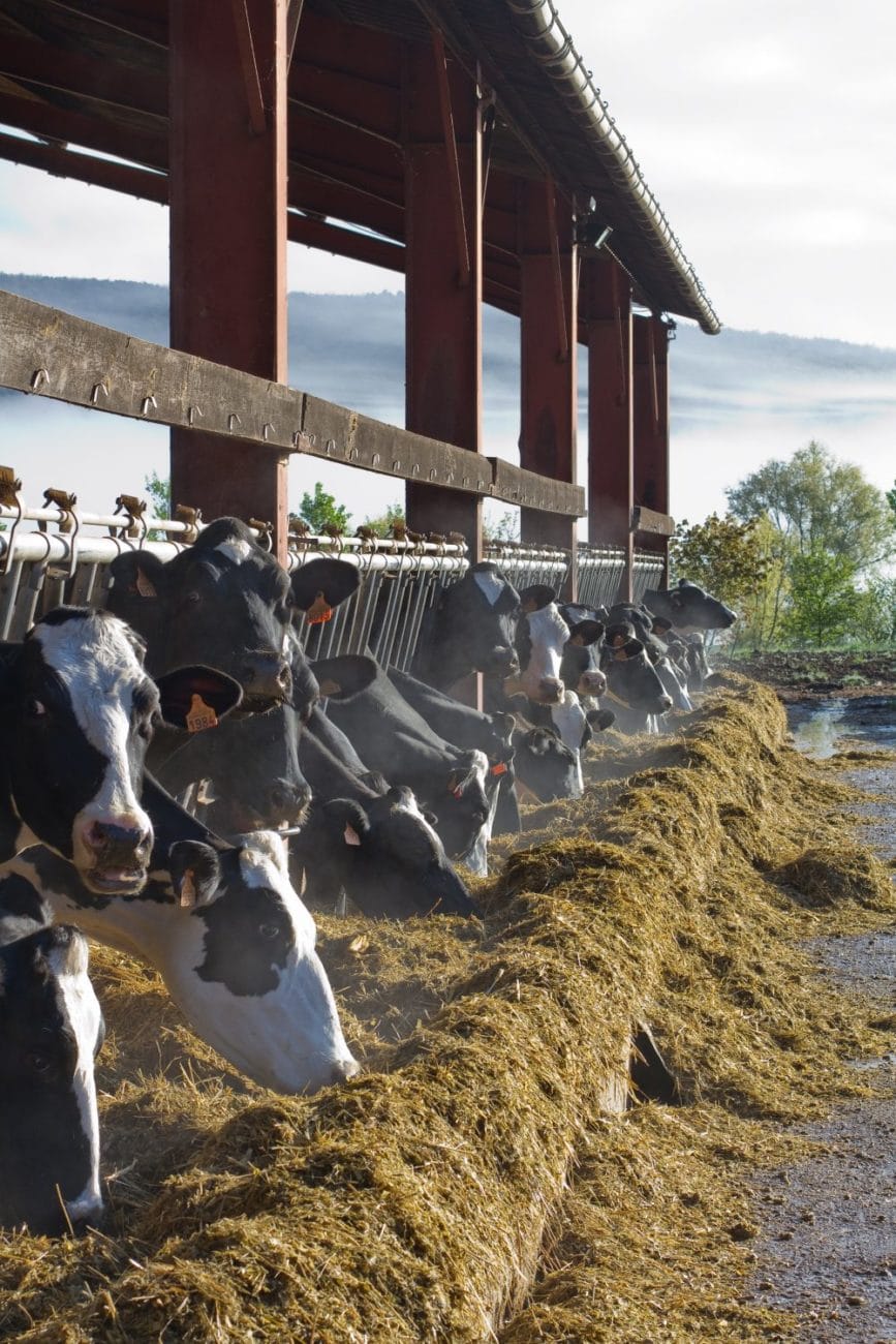 Ferme de Campserdou