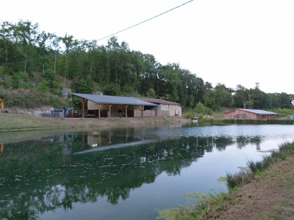 acheter des pruneaux d'Agen frais