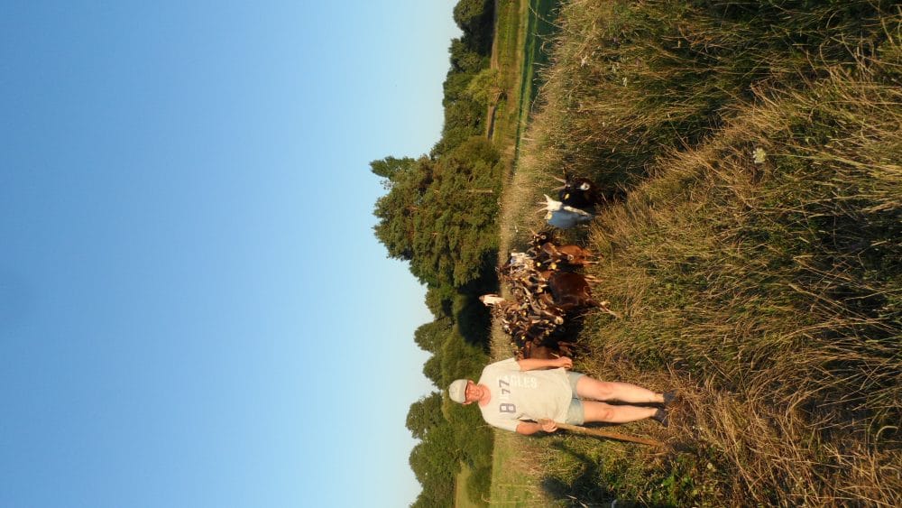 Ferme Les Alpines