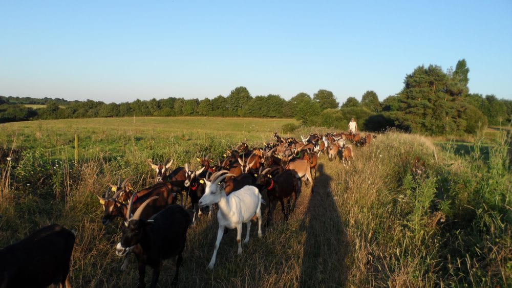 Ferme Les Alpines