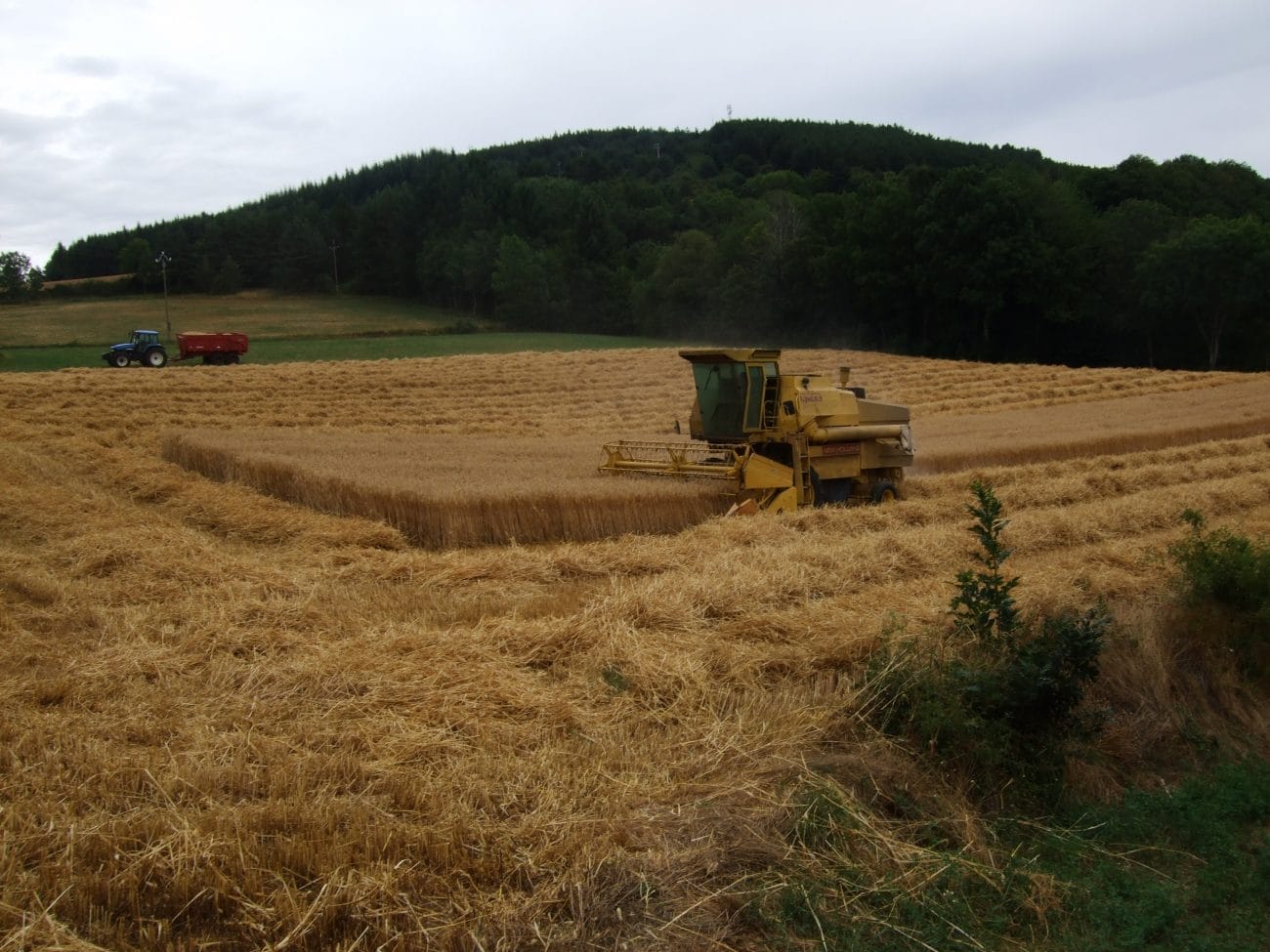 moisson moissonneuse blé orge tracteur ferme