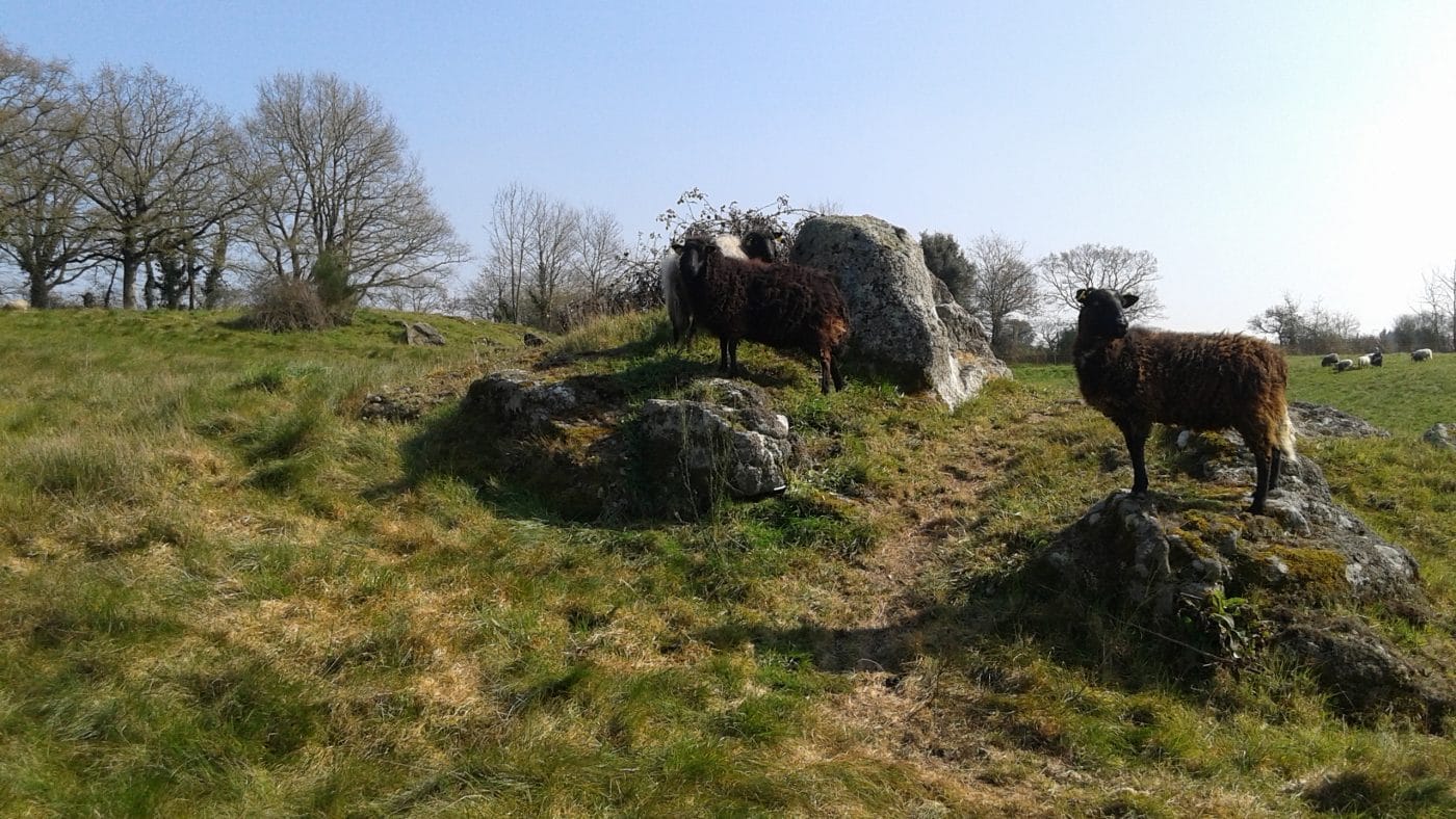 Ferme des Belles Landes