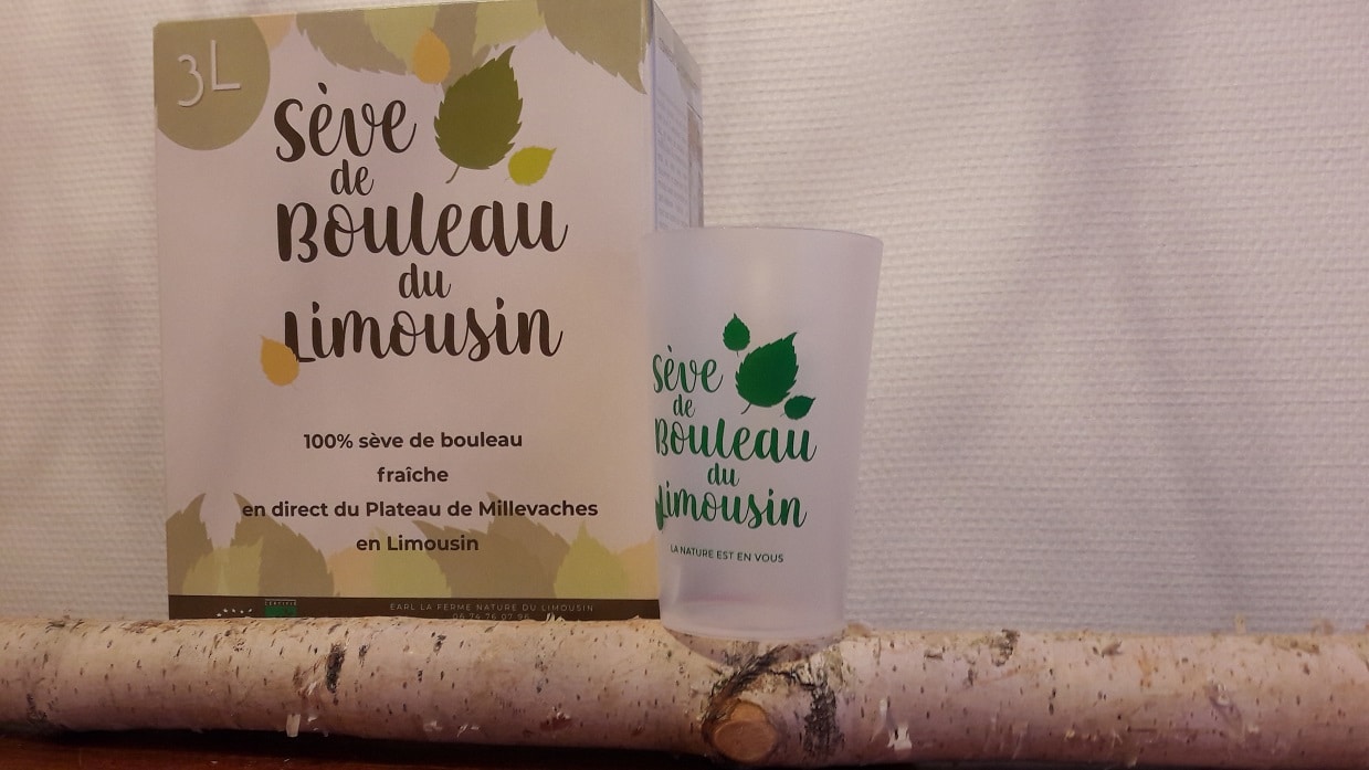Seve de Bouleau Du Limousin