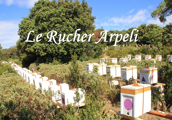 Le Rucher Arpeli