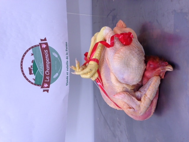 poulet