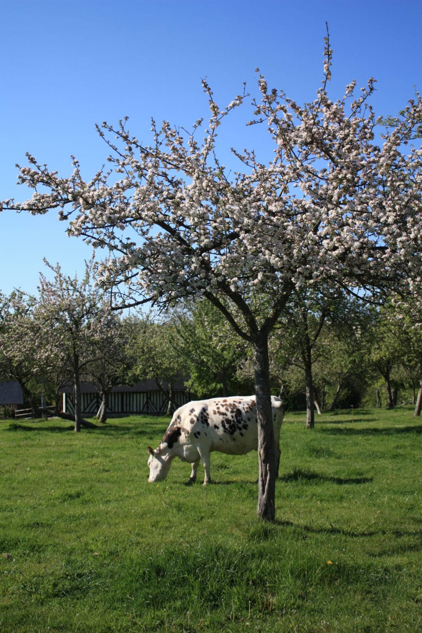Ferme de la vallée au tanneur