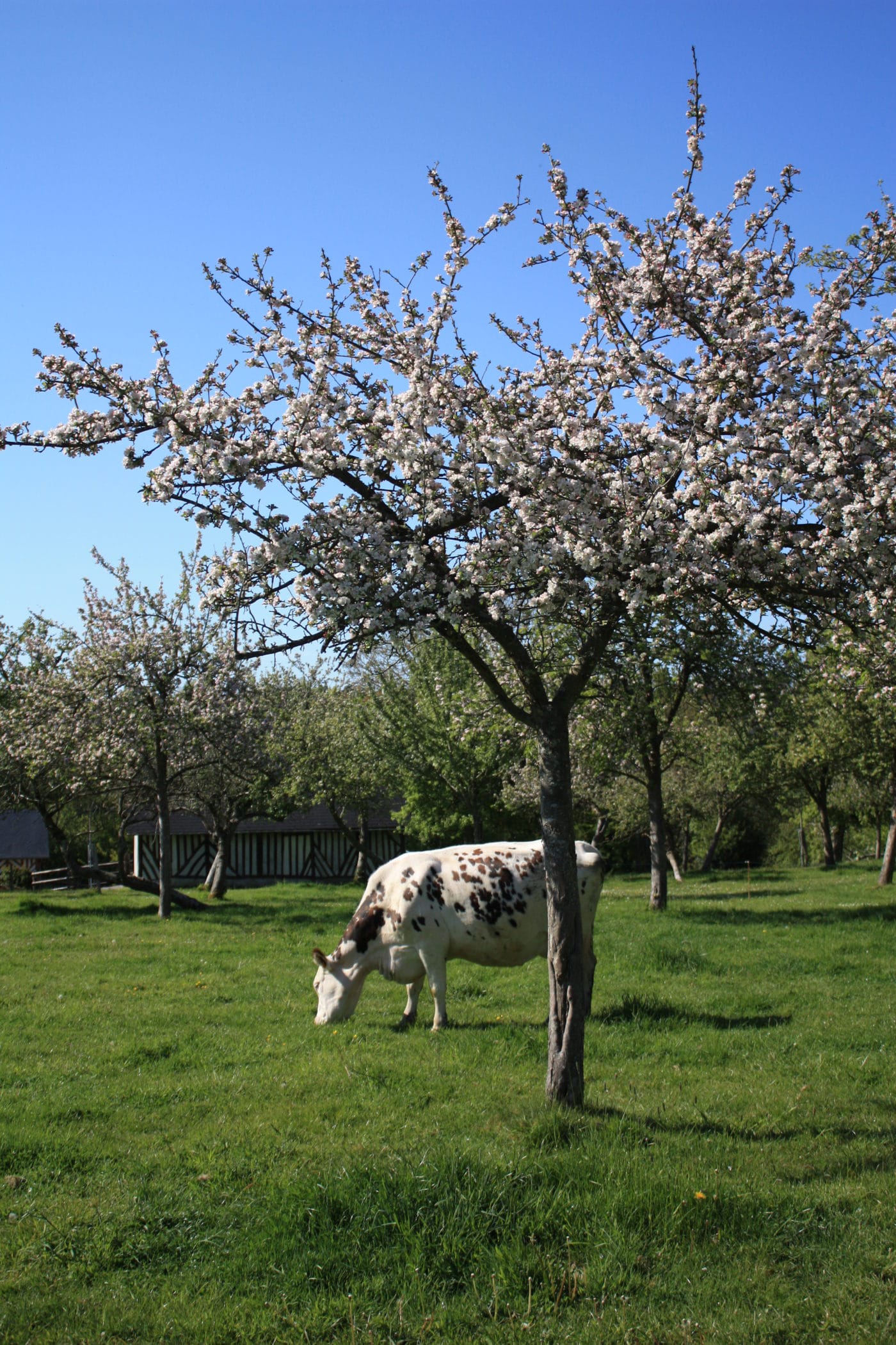 Ferme de la vallée au tanneur
