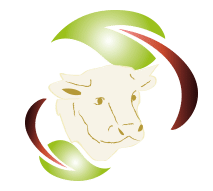 agriculture biologique