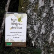 seve-de-bouleau-3l-2