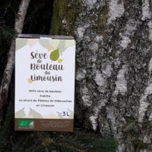 seve-de-bouleau-3l-2