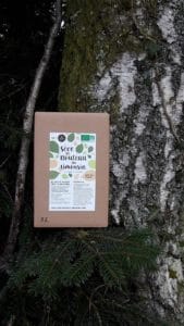 Seve de Bouleau du Limousin