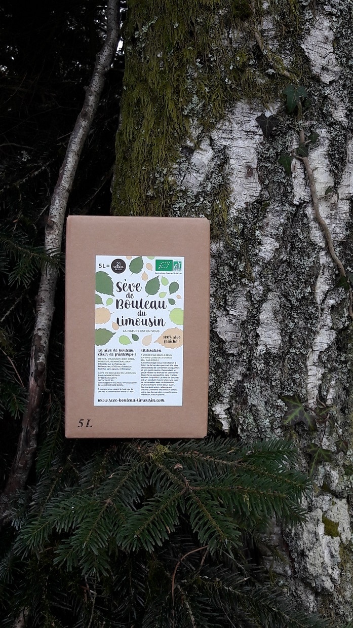 Seve de Bouleau du Limousin
